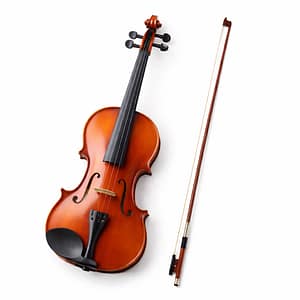 violin