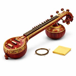 veena
