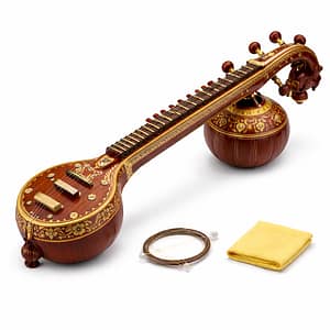 veena